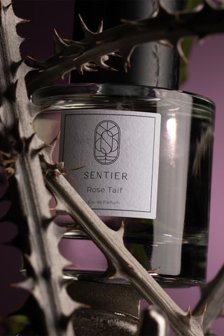 Rose Taif Sentier Eau de Parfum 100 ml
