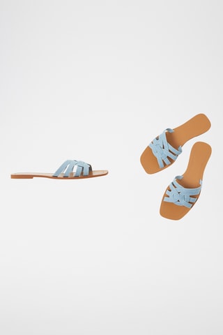 Muiltjes - Hemelsblauw