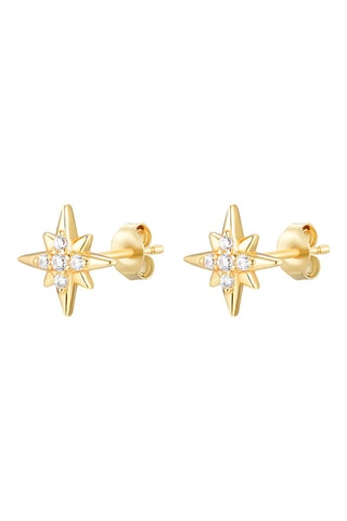 Puces - Zircons