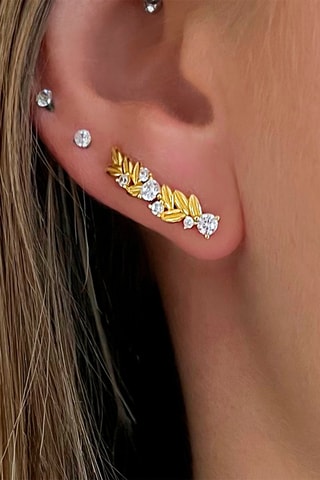 Puces dorées à l'or fin jaune