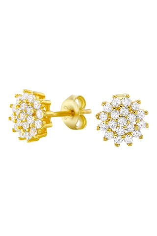 Puces dorées à l'or fin jaune