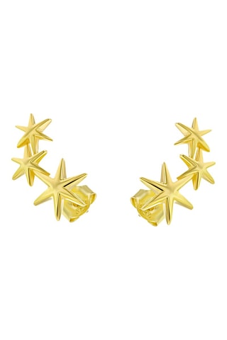 Puces dorées à l'or fin jaune