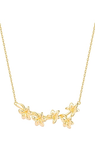 Colar folheada a ouro fino amarelo