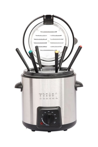 Friteuse électrique 2-en-1 en acier inoxydable
