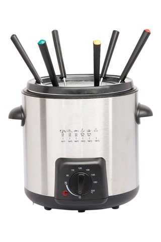 Friteuse électrique 2-en-1 en acier inoxydable