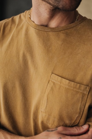 T-shirt Flavio Illinois - Camel