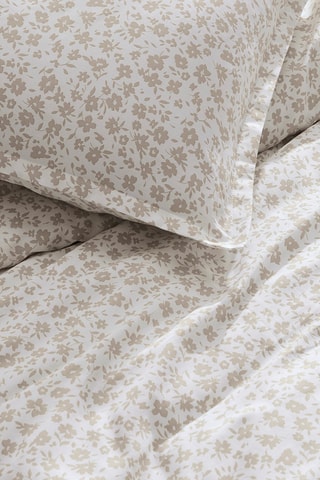 2 fronhas em cetim de algodão 200 fios/cm² Eglantine - Toupeira