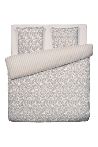 Conjunto de edredão em cetim de algodão 200 fios/cm² Romanesque - Toupeira