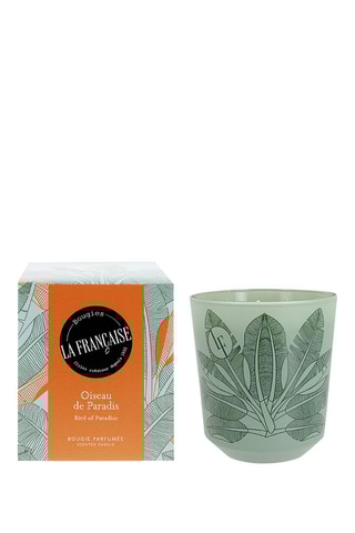 Vela perfumada - Oiseau Paradis