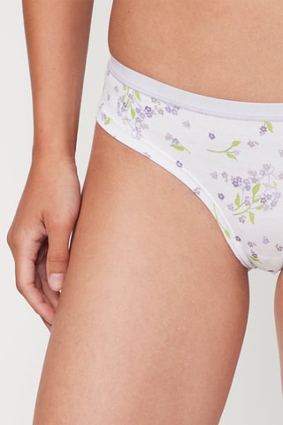 Culotte - Blanc et violet