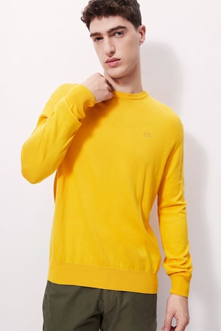 Pull - 
Jaune