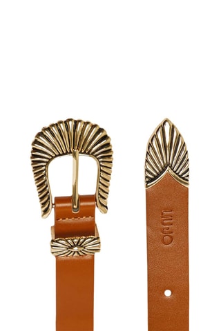 Riem - Camel
