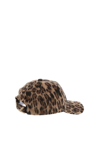 Pet - Bruin