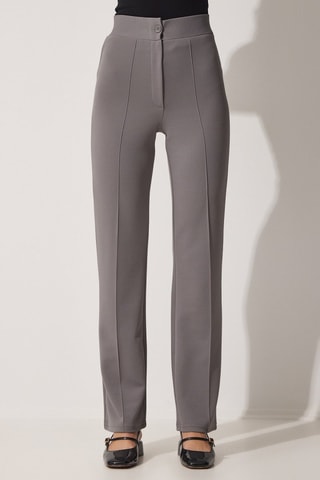 Broek Hoge Taille - Grijs