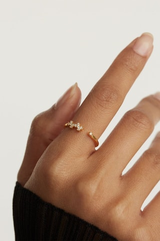 Bague Prince - Argent plaqué or jaune et zircons