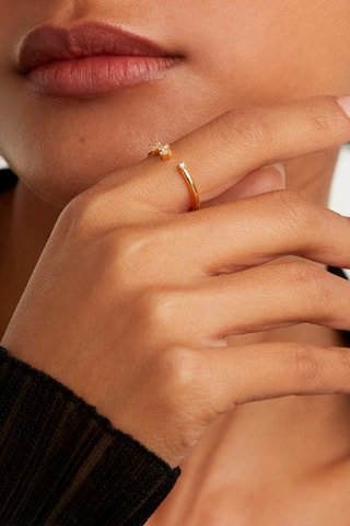 Bague Prince - Argent plaqué or jaune et zircons