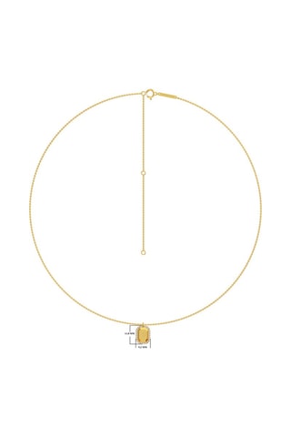 Collier Taureau - Argent plaqué or jaune