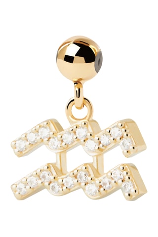 Charm Verseau - Argent plaqué or jaune