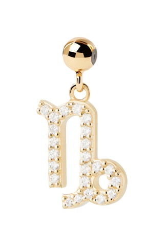 Charm Capricorne - Argent plaqué or jaune