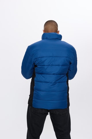 Gewatteerde Jas - Blauw