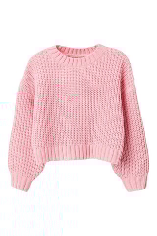 Trui - Rose