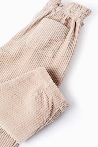 Velours Broek - Lichtgrijs 