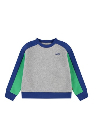 Sweat en coton biologique - Gris