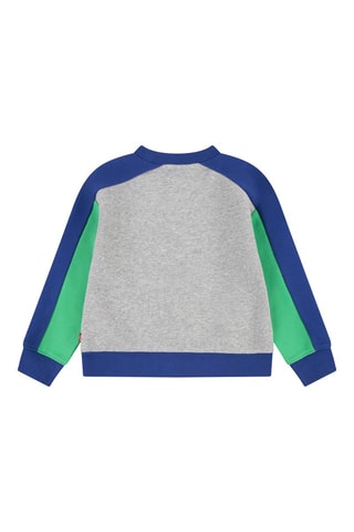 Sweat en coton biologique - Gris