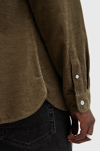Camisa slim em algodão biológico - Castanho