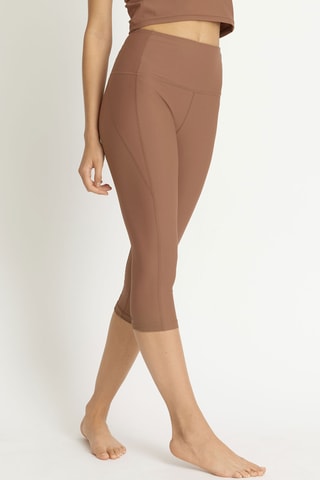 Kuitbroek - Bruin