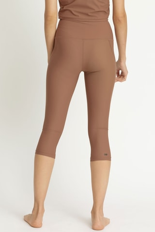 Kuitbroek - Bruin