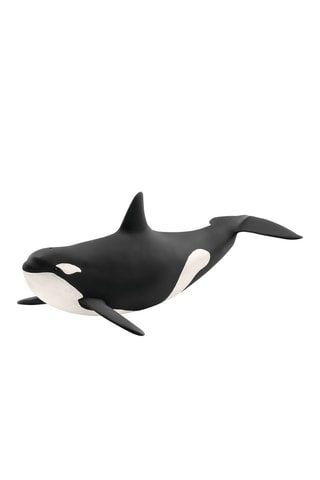 Orca A partir dos 5 anos