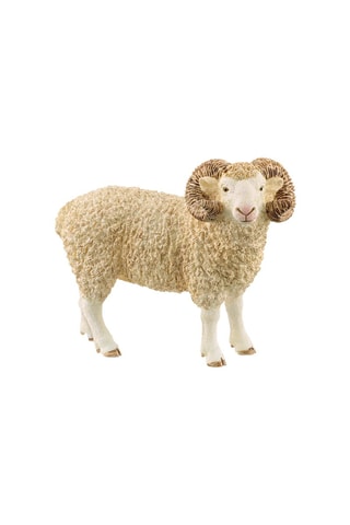 Ram Vanaf 3 Jaar