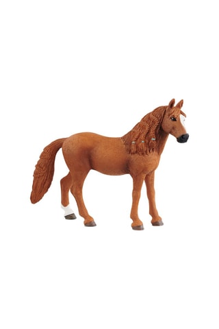 Duitse rijpony Horse Club - Vanaf 5 Jaar