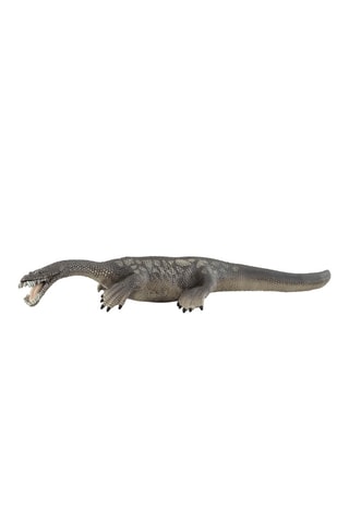 Nothosaurus Dinosaurs Vanaf 4 Jaar