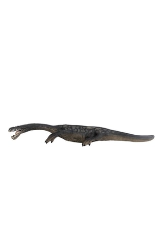 Nothosaurus Dinosaurs Vanaf 4 Jaar