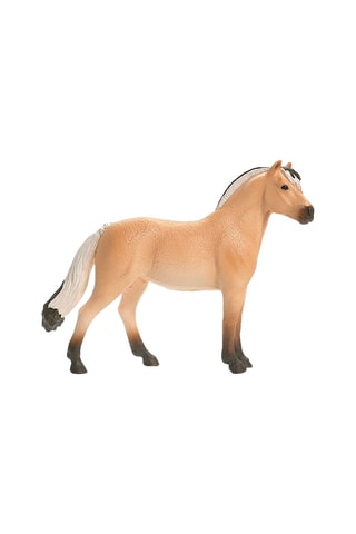 Hongre Fjord Horse Club - Vanaf 5 Jaar