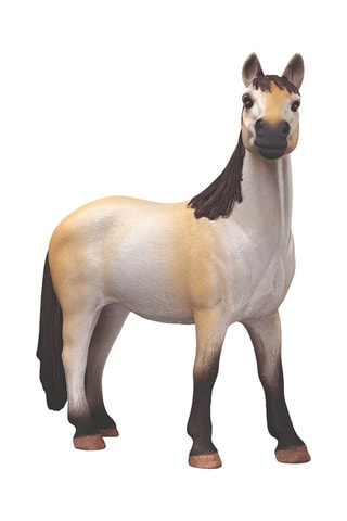 Caixa com égua mustang - A partir dos 3 anos