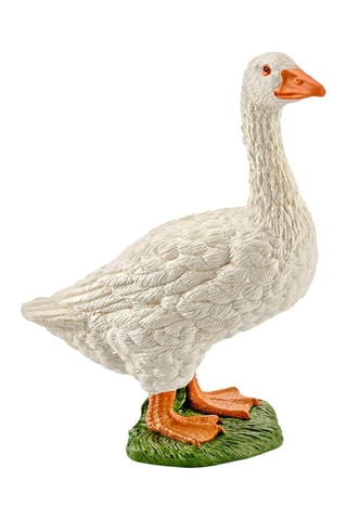 Gans- Vanaf 3 Jaar