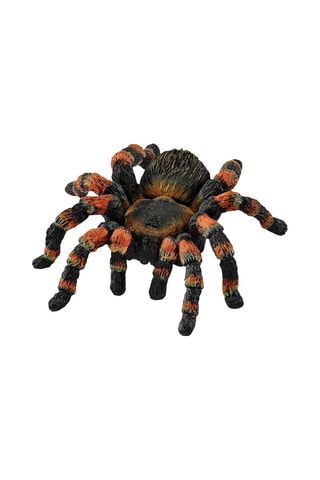 Tarântula Wild Life A partir dos 3 anos