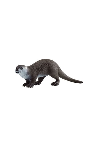 Lontra - A partir dos 3 anos