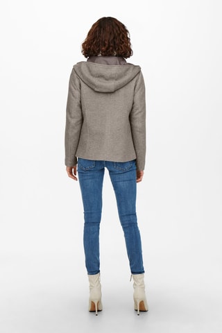 Veste à capuche - Gris