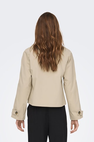 Veste - Beige