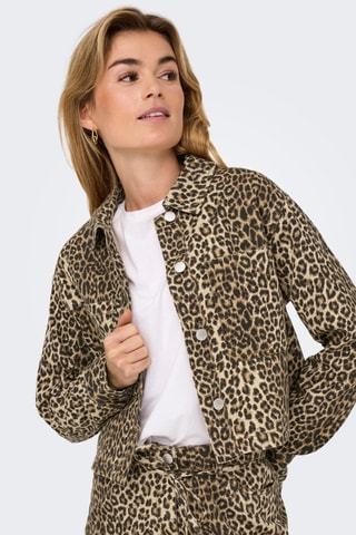 Veste - Beige
