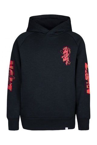 Sweat à capuche Noir - Jordan