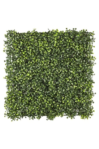 Wanddecoratie Kunstplanten - 50 x 50 cm