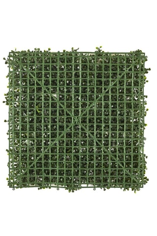 Wanddecoratie Kunstplanten - 50 x 50 cm