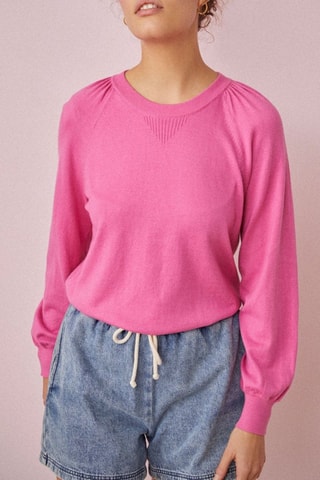 Pull Barry - Rose