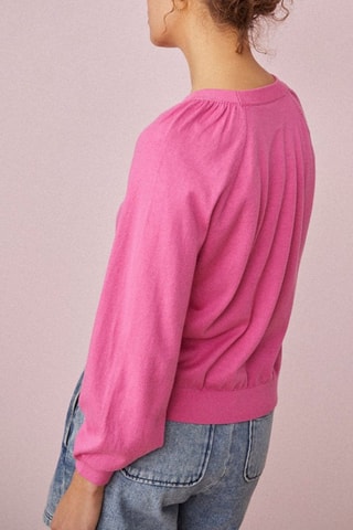 Pull Barry - Rose