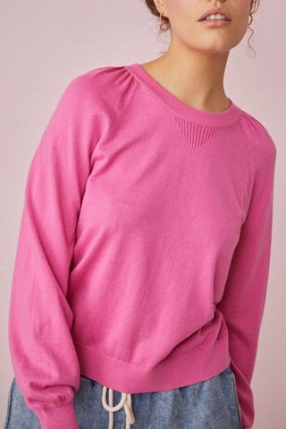 Pull Barry - Rose